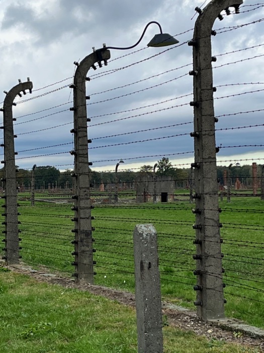 Cercas de arame farpado em Auschwitz-Birkenau
